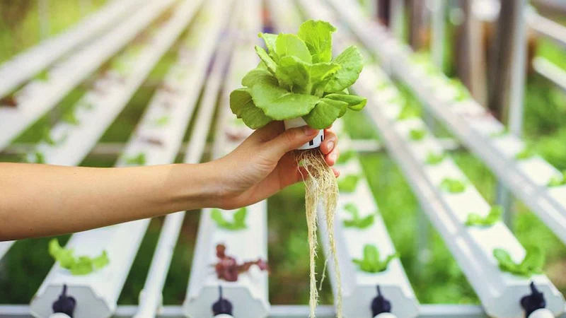 مدونة الموقع