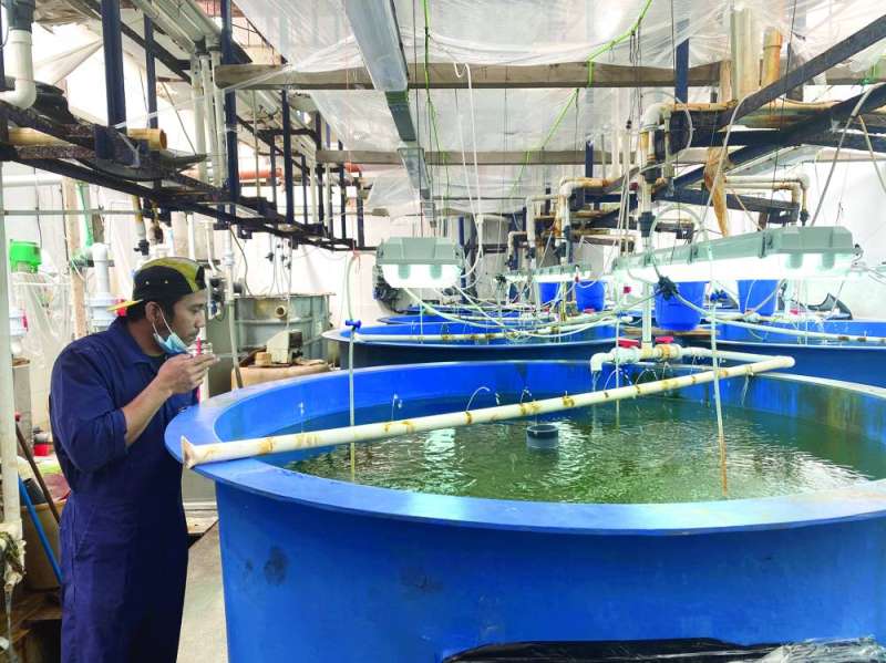 الاستزراع السمكي