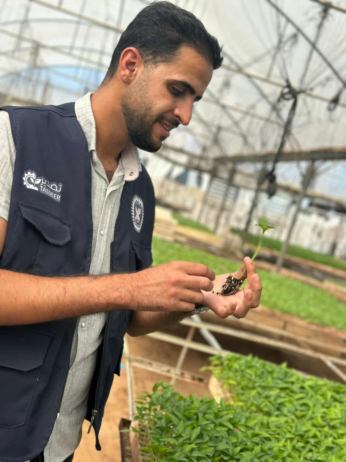 الإنتاج النباتي