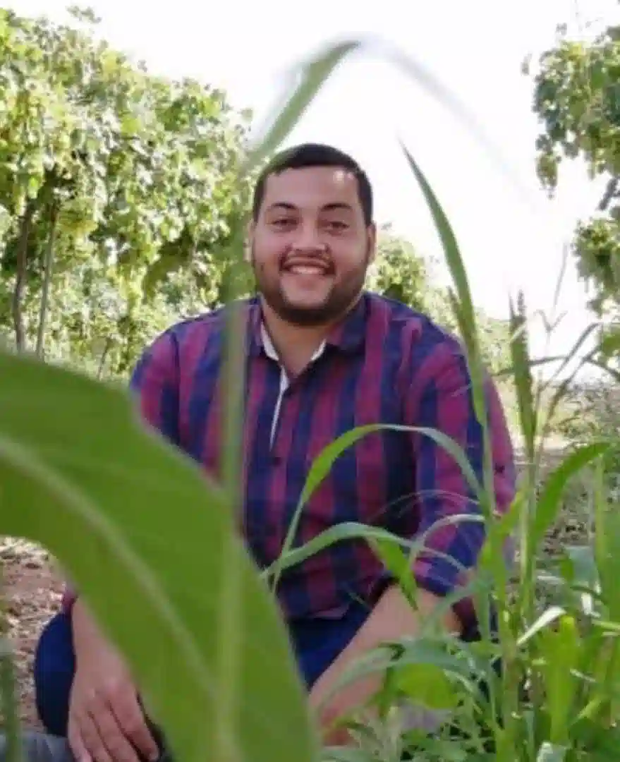 محمود الشاويش